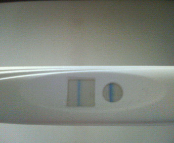 妊娠検査薬陽性