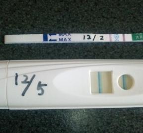 妊娠検査薬の陽性