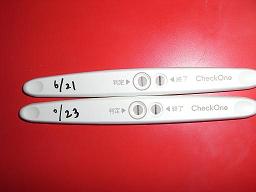 妊娠検査薬の陽性