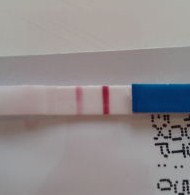 妊娠検査薬の陽性