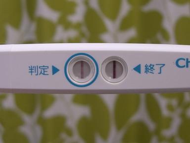 妊娠検査薬の陽性