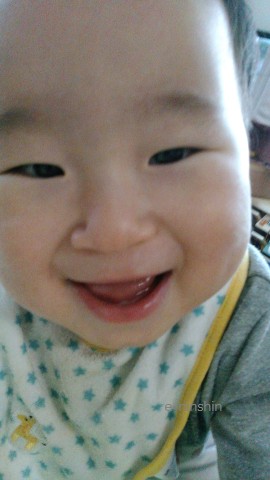 あずきさんの赤ちゃん
