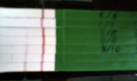 妊娠検査薬の陽性