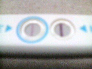 妊娠検査薬の陽性