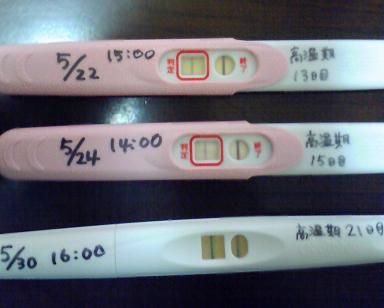 妊娠検査薬の陽性