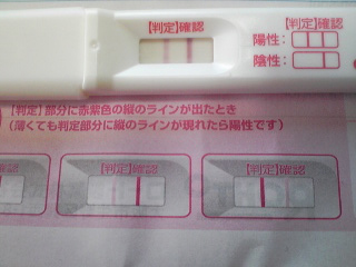 妊娠検査薬の陽性