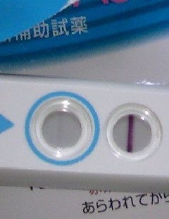 妊娠検査薬の陽性