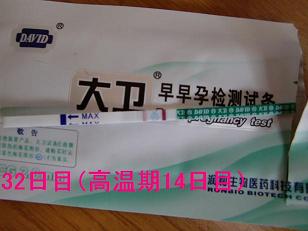 妊娠検査薬の陽性