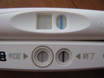 妊娠検査薬の陽性