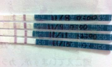 妊娠検査薬の陽性