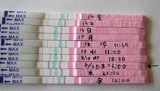 排卵検査薬の陽性