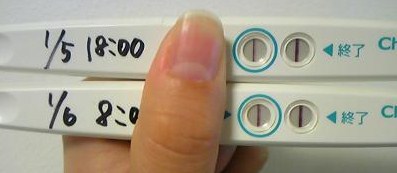 妊娠検査薬の陽性