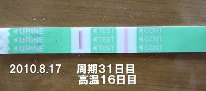 妊娠検査薬の陽性
