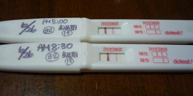 妊娠検査薬の陽性