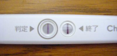 妊娠検査薬の陽性