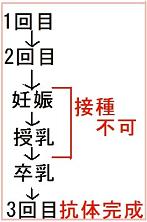妊娠中の接種