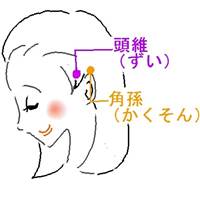 頭維と角孫